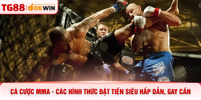 Cá Cược MMA - Các Hình Thức Đặt Tiền Siêu Hấp Dẫn, Gay Cấn