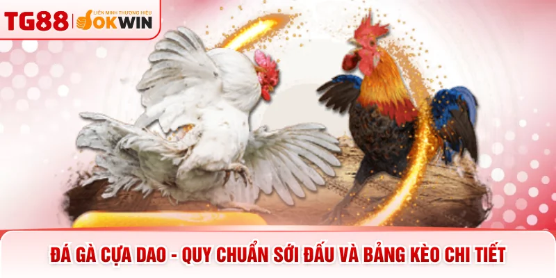Đá Gà Cựa Dao - Quy Chuẩn Sới Đấu Và Bảng Kèo Chi Tiết 