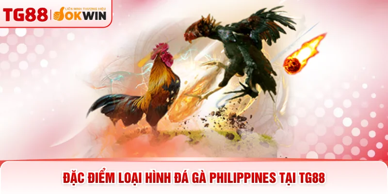 Đặc điểm loại hình đá gà Philippines tại TG88