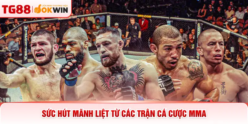 Sức hút mãnh liệt từ các trận cá cược MMA