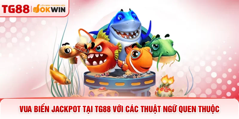 Vua Biển jackpot tại TG88 với các thuật ngữ quen thuộc