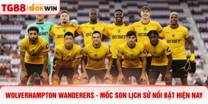 Wolverhampton Wanderers - Mốc Son Lịch Sử Nổi Bật Hiện Nay
